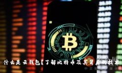 什么是云钱包？了解比特