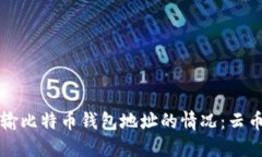 如何处理误输比特币钱包