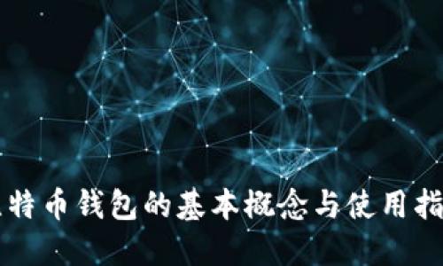 比特币钱包的基本概念与使用指南