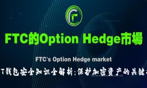 USDT钱包安全知识全解析：保护加密资产的关键措施