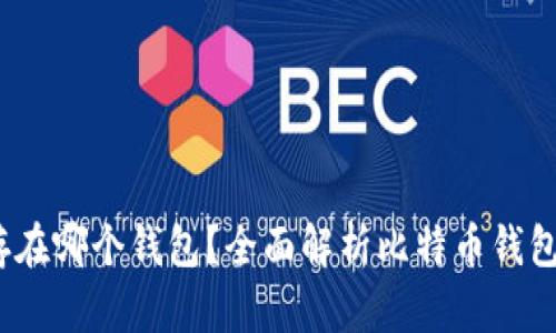 bianoti比特币存在哪个钱包？全面解析比特币钱包类型和选择指南