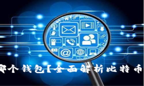bianoti比特币存在哪个钱包？全面解析比特币钱包类型和选择指南
