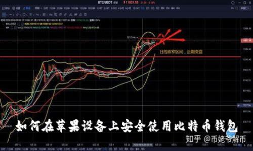 如何在苹果设备上安全使用比特币钱包