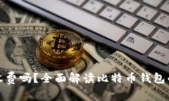 比特币钱包收费吗？全面