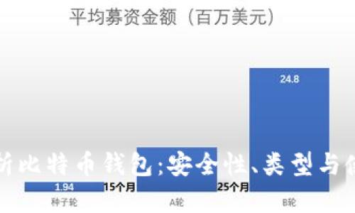 全面解析比特币钱包：安全性、类型与使用指南