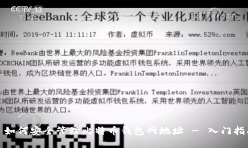 : 如何安全管理比特币钱包网地址 - 入门指南