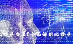 什么钱包才能与比特币交
