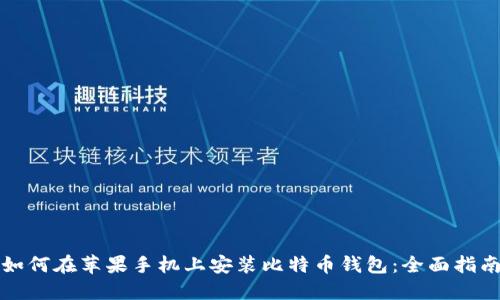 如何在苹果手机上安装比特币钱包：全面指南
