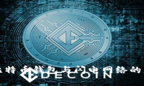 全面解析比特币钱包与闪电网络的应用与发展