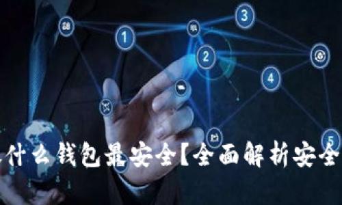 比特币放什么钱包最安全？全面解析安全钱包选择