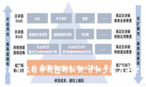 如何打开比特币钱包的私钥：详细步骤与安全指南