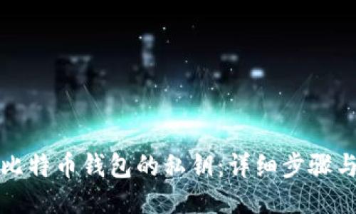 如何打开比特币钱包的私钥：详细步骤与安全指南