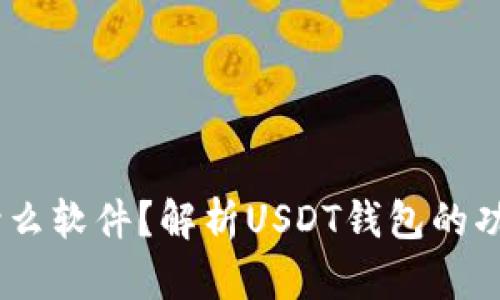 USDT钱包是什么软件？解析USDT钱包的功能与使用指南