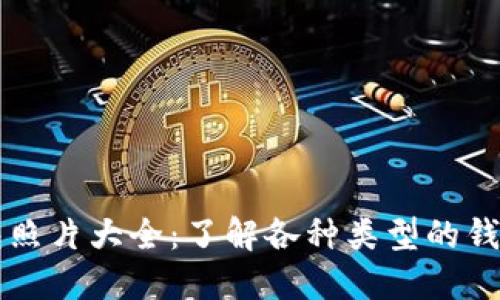 比特币钱包照片大全：了解各种类型的钱包及其功能
