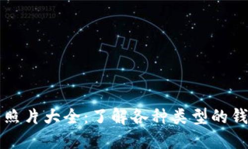 比特币钱包照片大全：了解各种类型的钱包及其功能