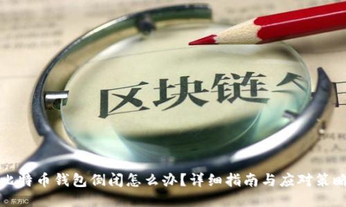 比特币钱包倒闭怎么办？详细指南与应对策略
