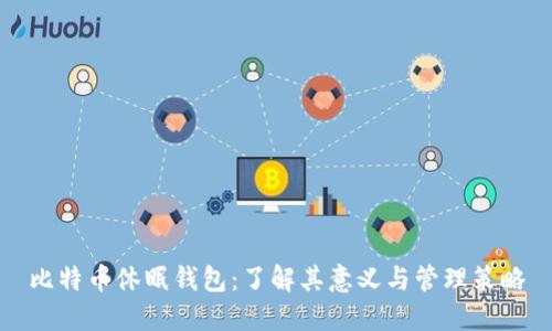 比特币休眠钱包：了解其意义与管理策略
