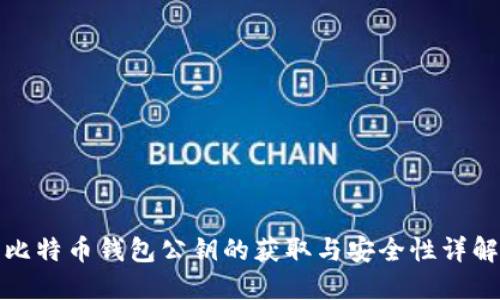 比特币钱包公钥的获取与安全性详解