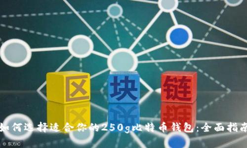 如何选择适合你的250g比特币钱包：全面指南