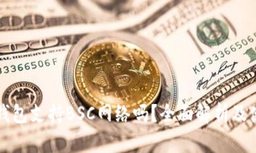 小狐狸钱包支持BSC网络吗？全面解析及使用指南