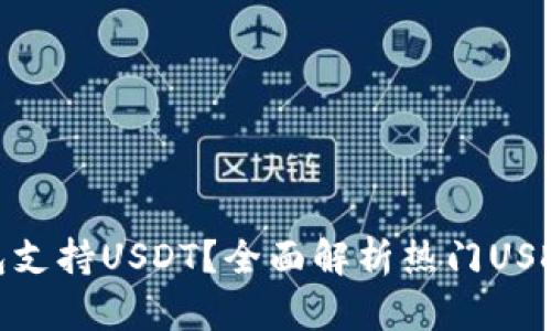 : 哪些钱包支持USDT？全面解析热门USDT钱包选择
