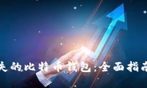 如何找回丢失的比特币钱包：全面指南与实用技巧