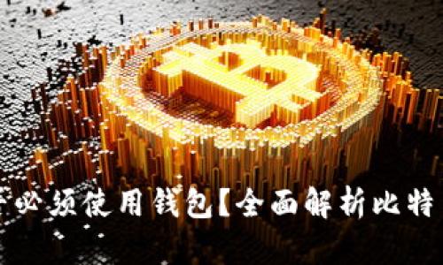 比特币是否必须使用钱包？全面解析比特币存储方式