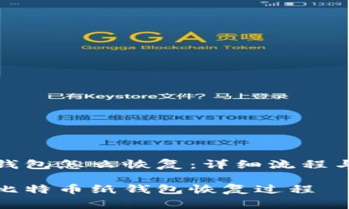 比特币纸钱包怎么恢复：详细流程与注意事项

全面解析比特币纸钱包恢复过程