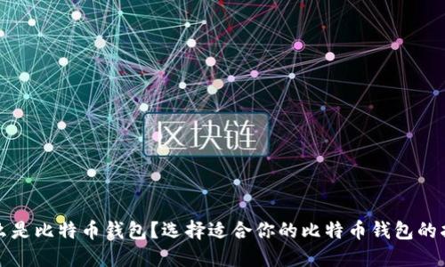 什么是比特币钱包？选择适合你的比特币钱包的指南
