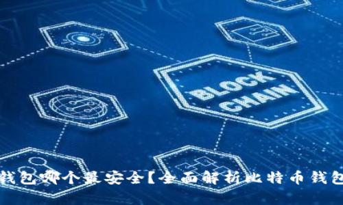 比特币钱包哪个最安全？全面解析比特币钱包安全性