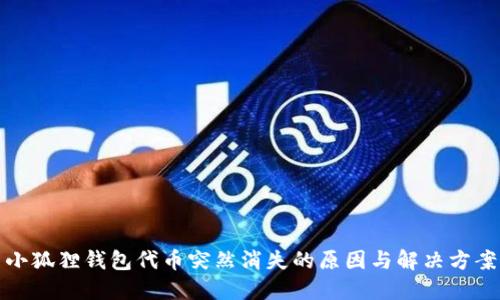 小狐狸钱包代币突然消失的原因与解决方案