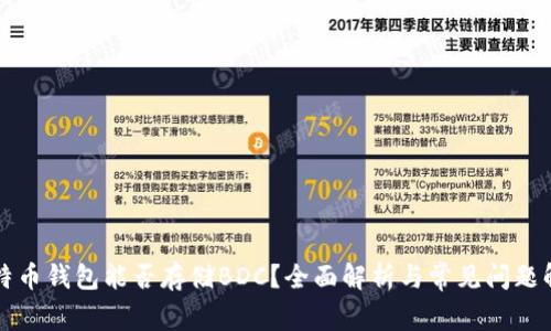 比特币钱包能否存储BDC？全面解析与常见问题解答