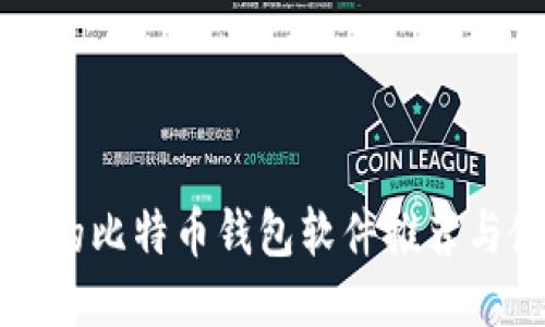 比较安全的比特币钱包软件推荐与使用指南