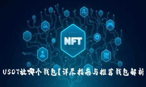 USDT放哪个钱包？详尽指南与推荐钱包解析