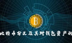 理解比特币分叉及其对钱包资产的影响