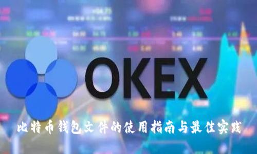 比特币钱包文件的使用指南与最佳实践