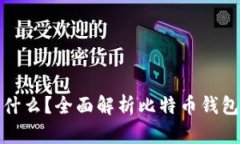 比特币钱包是什么？全面解析比特币钱包的类型