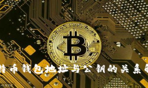 比特币钱包地址与公钥的关系解析