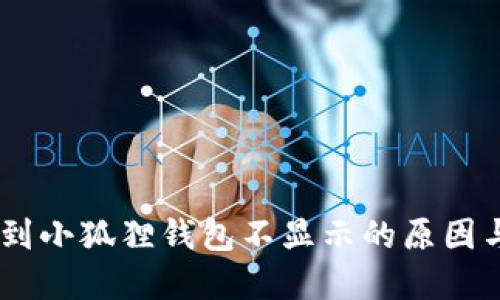提币USDT到小狐狸钱包不显示的原因与解决方法