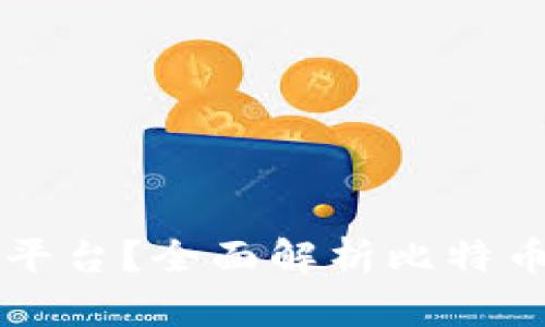 比特币接收钱包是什么平台？全面解析比特币接收钱包的功能与应用