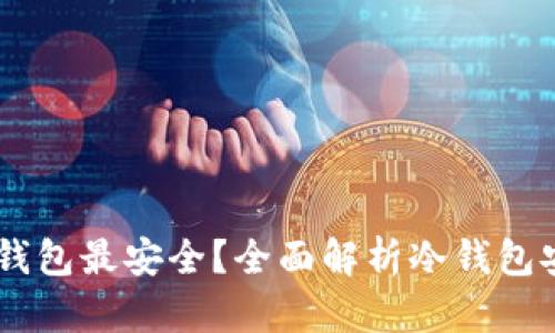 多少比特币放冷钱包最安全？全面解析冷钱包安全性与金额配置