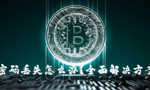 比特币钱包密码丢失怎么办？全面解决方案与实用技巧
