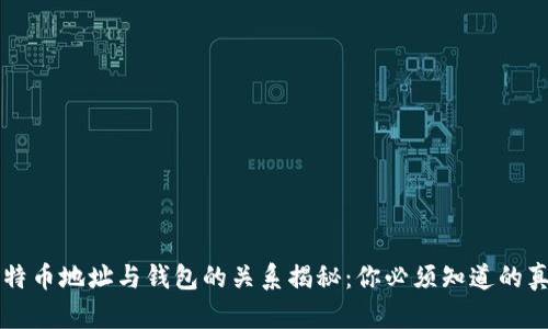 比特币地址与钱包的关系揭秘：你必须知道的真相