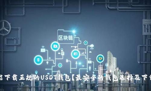 哪里能下载正规的USDT钱包？最安全的钱包选择及下载指南
