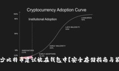 多少比特币建议放在钱包中？安全存储指南与策